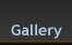 Tomas del Amo Gallery